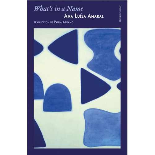 What's in a name, de Amaral. Serie Poesía Editorial EDITORIAL SEXTO PISO, tapa blanda en português/español, 2020