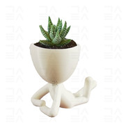 Maceta Minimalistas Decoración Interior Suculentas Cactus Rp