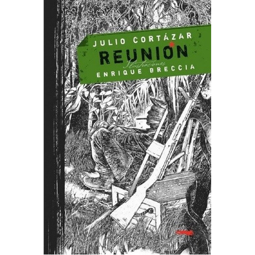 Reunion (ed. Ilustrada) - Cortazar, Breccia, De Cortazar, Breccia. Editorial Libros Del Zorro Rojo - Dnx En Español