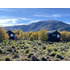 Se Venden Cabañas En Terreno 5000 M2 Malalcahuello