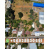 Terreno Urbano 5003 M2 Chillán