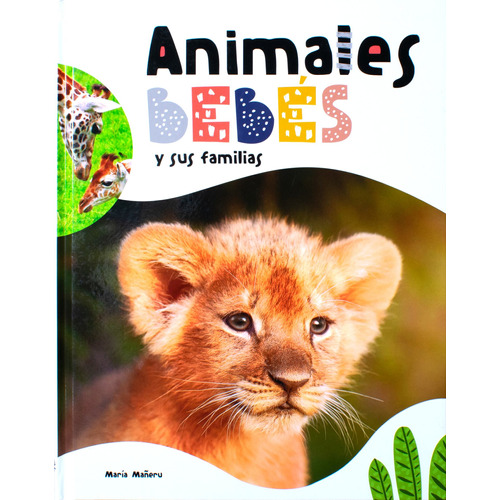 Universo Animal: Animales Bebés y sus Familias.: Libro infantil Universo Animal: Animales bebés y sus familias, de María Mañeru. Editorial Silver Dolphin (en español), tapa dura en español, 2022