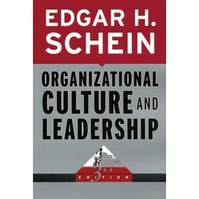 identidade profissional edgar schein