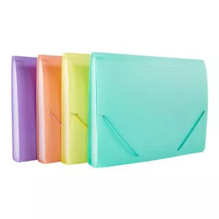 Clasificadores  Fuelle Carpeta A4 12 Div. Colores Pastel 