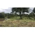 Lote Para La Venta En Timbío Cauca!!