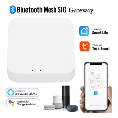 Hub Gateway Mesh Bluetooth Tuya Smart Wifi