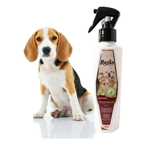 Eliminador De Olores De Perros Desodorante Para Machos