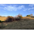 Cod40127 Agrícola En Venta En Cunco 15 Ha. Con Vertiente