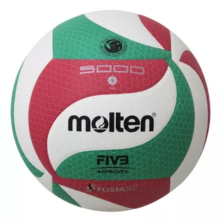 Balón Voleibol Volleyball V5m5000 Molten Alta Calidad