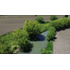 Productivo Campo Agricola