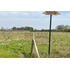 Se Vende Sitio 5000 M2 Loteo Haras De Huiquilemu