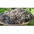 Flores Lavanda Organica Natural. 100g.