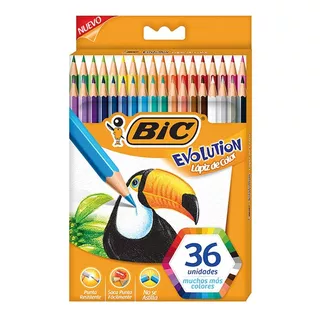 Lapiz Lapices De Colores Bic Evolution Coloring Caja X 36 Unidades Largos Escolar Resistente Dibujo Pintar Colegial