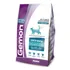 Gemon Gato alimento adulto pollo y arroz 1.5kg