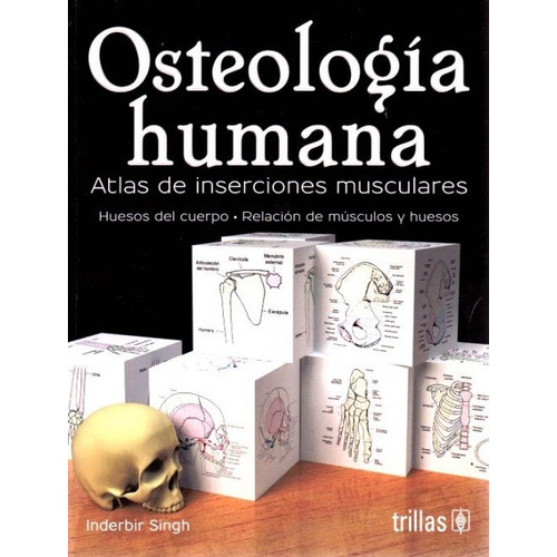 Osteología Humana. Atlas De Inserciones Musculares