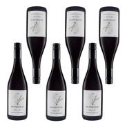 Vino Alpataco Pinot Noir Shroeder Patagonia 750ml Caja X 6