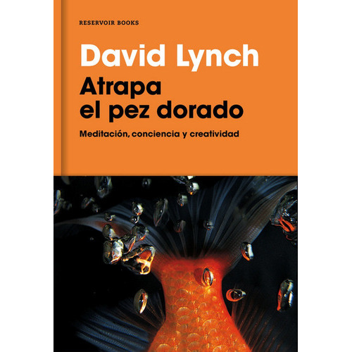 Atrapa El Pez Dorado, De Lynch, David. Editorial Reservoir Books, Tapa Dura En Español