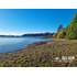 Parcela Con Acceso A Lago, Cercana A Puerto Varas