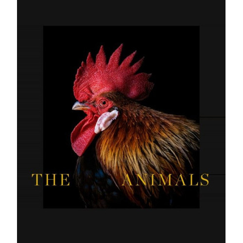 The Animals, de Estela De Castro. Editorial La Fabrica, tapa blanda, edición 1 en inglés, 2022