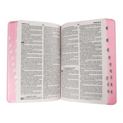 Biblia Reina Valera 1960  C/indice, Rosa, Flores