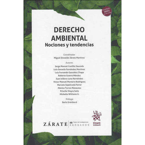 Derecho Ambiental Nociones Y Tendencias, De Jorge Manuel Castillo Luis Gerardo Fernandez. Editorial Tirant Lo Blanch, Tapa Dura En Español, 2020