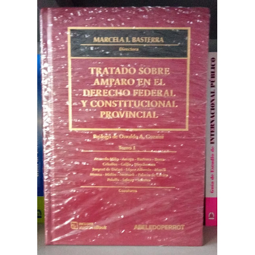 Tratado Sobre Amparo Derecho Federal Y Constituciónal Provin