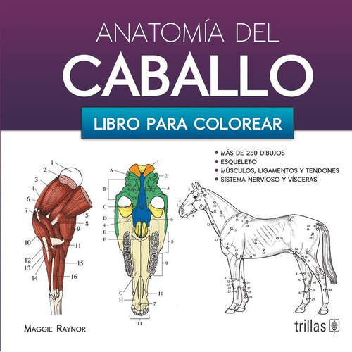 Anatomia Del Caballo, De Raynor, Maggie. Editorial Trillas, Tapa Blanda En Español, 2016
