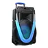 Parlante Multilaser Sunny II SP395 portátil con bluetooth negro