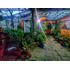 Comercial Multifuncional En Venta  San Clemente