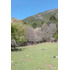 Campo Sector Huerquehue, Termas Rio Blanco