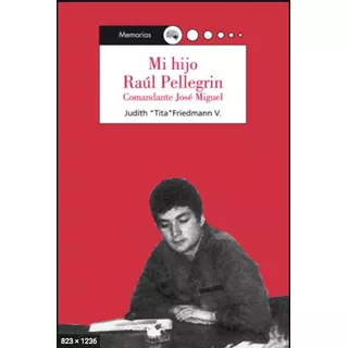 Mi Hijo Raul Pellegrini: Comandante Jose Miguel, De Judith Tita Friedmann. Editorial Lom, Tapa Blanda, Edición Primera En Español, 2008