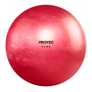 Pelota Esferodinamia 65 Cm Fit Gym Ball Pilates Yoga Proyec