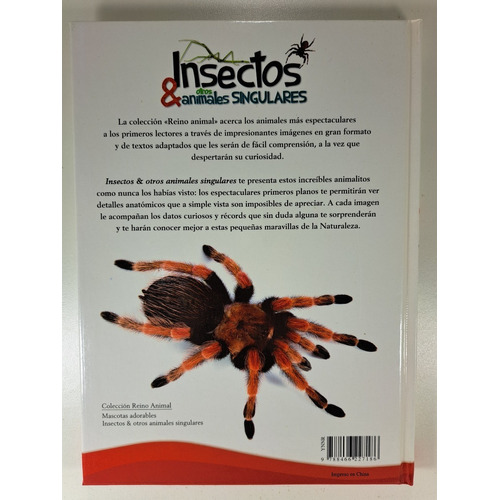 Insectos Y Otros Animales Singulares - Libro Infantil