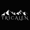 development-logo