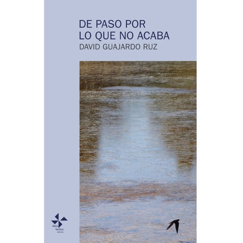 De Paso Por Lo Que No Acaba, De Guajardo Ruz, David. Editorial Aliosventos Ediciones En Español