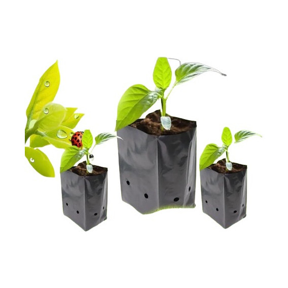 Bolsas Plantas Almácigos 15x15 Kit 200 Unidades Green World 