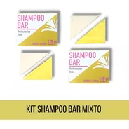 Shampoo Solido Sin Sulfatos Pack Dos La Botica Eco