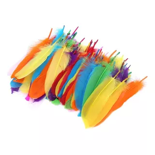 Plumas De Colores Surtidas / 200 Unidades