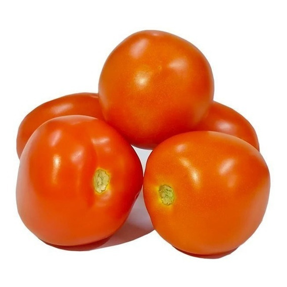 Fertilizante Para La Producción De Tomate Chonto
