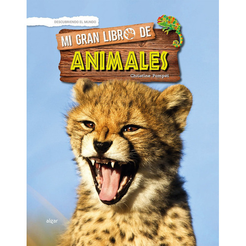 Mi Gran Libro De Animales - Pompeø, Christine