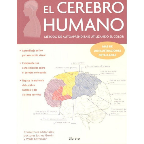 El Cerebro Humano. Metodo De Autoaprendizaje Utilizando El