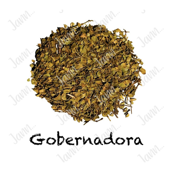 Gobernadora Planta Medicinal 500g.