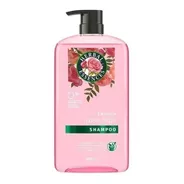 Shampoo Petalos De Rosa Herbal Essences Smooth Rose 865ml