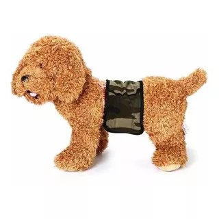 Pañal Para Perro Macho Talla  S X 1