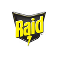 Raid