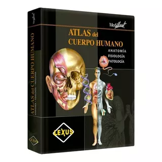 Atlas Del Cuerpo Humano (tapa Dura) / Lexus