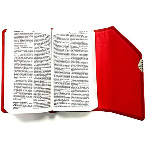 Biblia Rvr1960 Agenda Roja Con Broche