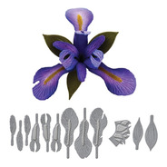 Shapeabilities Create An Iris Etched Dies