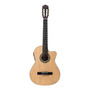 Primera imagen para búsqueda de guitarra electroacustica