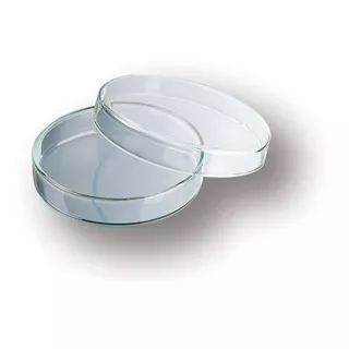Caja Petri De Vidrio. Medida 100 X 15 Mm. Esterilizable